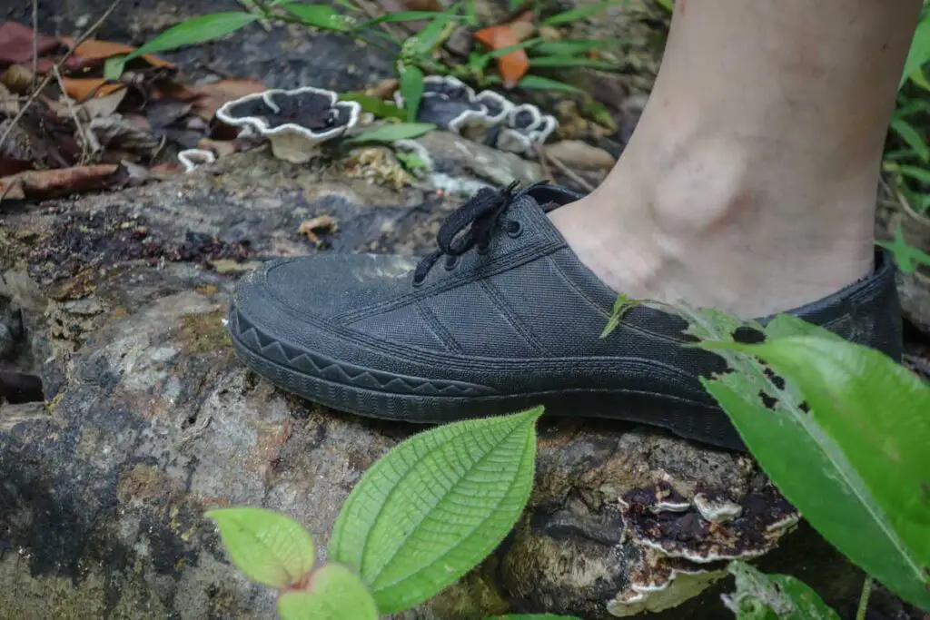 adidas hiking shoes women's malaysia